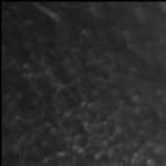 焚き火女子　静岡県　富士市　2026年05月03日